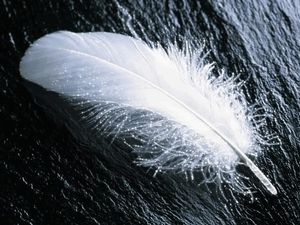 Image chosen by user