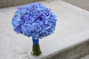 Image chosen by user