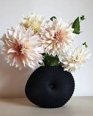 Image chosen by user