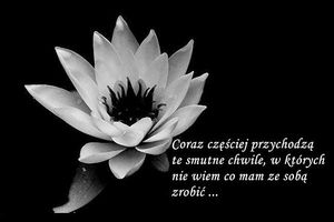 Obrazek wybrany przez użytkownika
