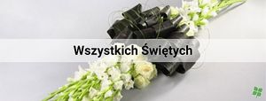 Obrazek wybrany przez użytkownika