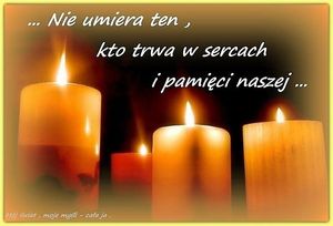 Image chosen by user