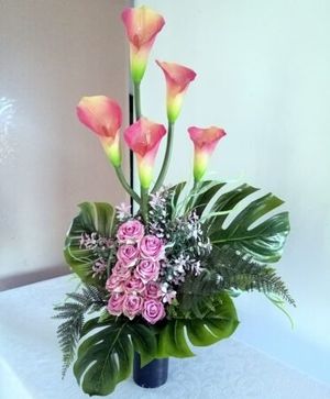 Image chosen by user