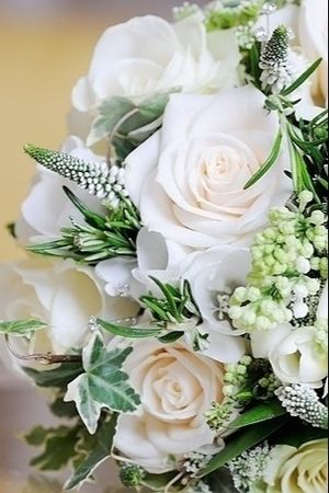 Image chosen by user
