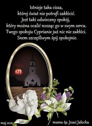 Image chosen by user