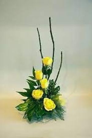 Image chosen by user