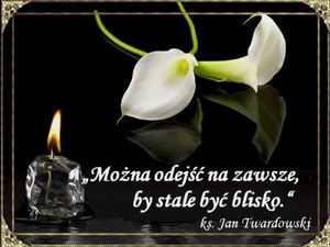 Obrazek wybrany przez użytkownika
