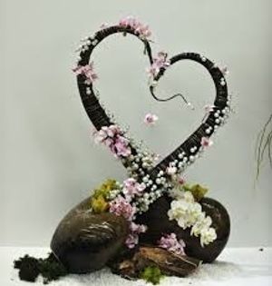Image chosen by user