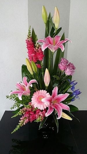 Image chosen by user