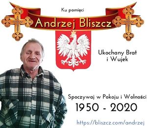 Obrazek wybrany przez użytkownika