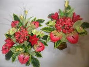 Image chosen by user