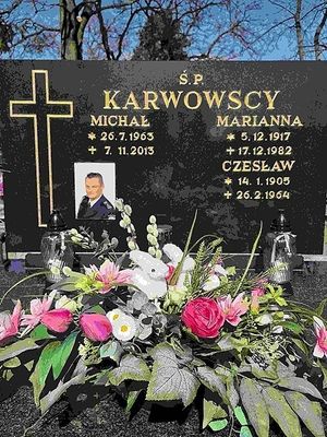 Obrazek wybrany przez użytkownika