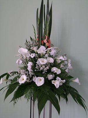 Image chosen by user