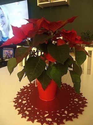 Image chosen by user