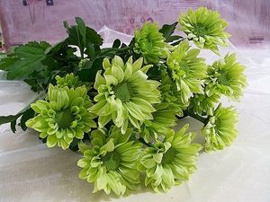 Image chosen by user