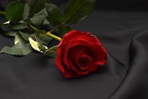 Image chosen by user