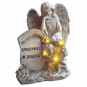 Image chosen by user