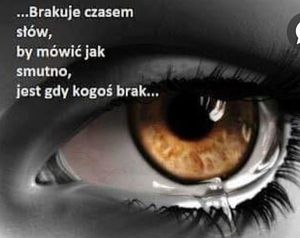 Obrazek wybrany przez użytkownika