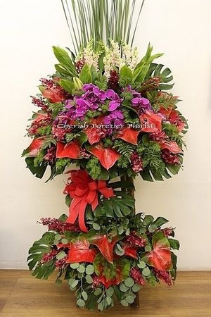 Image chosen by user