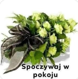 Image chosen by user