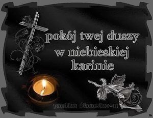 Obrazek wybrany przez użytkownika