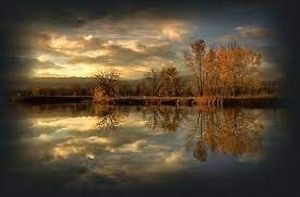 Image chosen by user