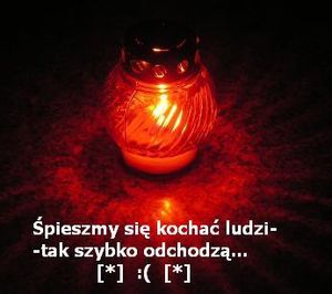 Obrazek wybrany przez użytkownika