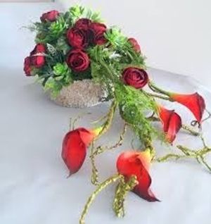 Image chosen by user