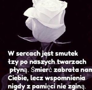 Obrazek wybrany przez użytkownika