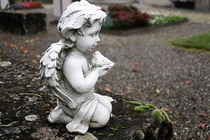Image chosen by user
