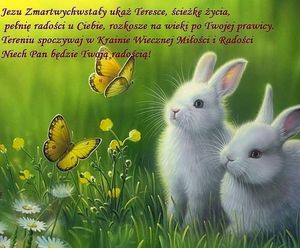 Obrazek wybrany przez użytkownika