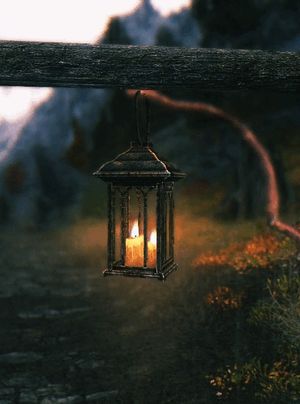 Image chosen by user