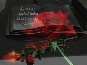 Image chosen by user