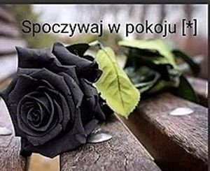 Obrazek wybrany przez użytkownika