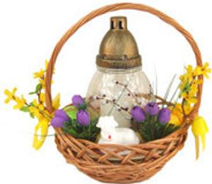 Image chosen by user