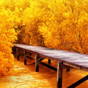 Image chosen by user
