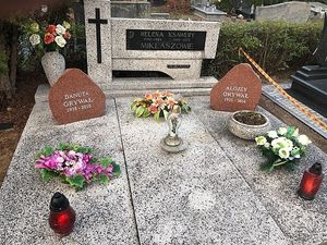 Obrazek wybrany przez użytkownika