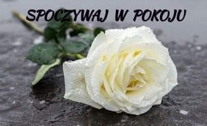 Obrazek wybrany przez użytkownika