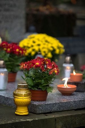 Obrazek wybrany przez użytkownika