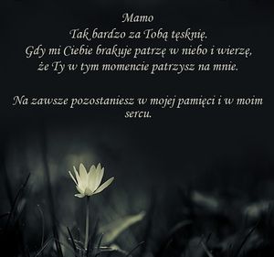 Obrazek wybrany przez użytkownika