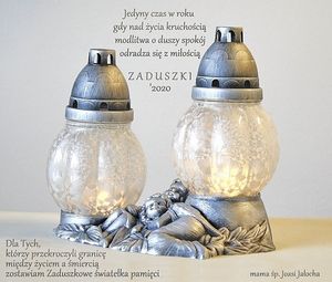 Image chosen by user