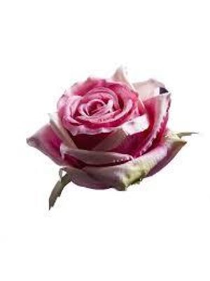Image chosen by user