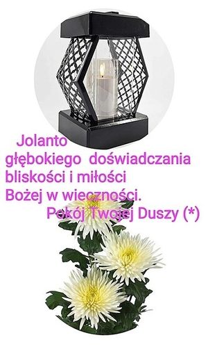 Image chosen by user