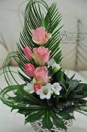 Image chosen by user