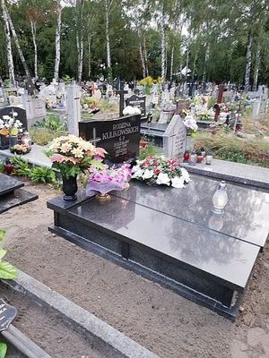 Obrazek wybrany przez użytkownika