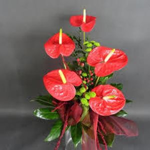 Image chosen by user