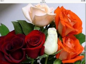 Image chosen by user