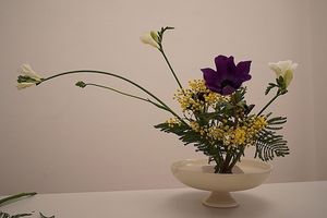Image chosen by user