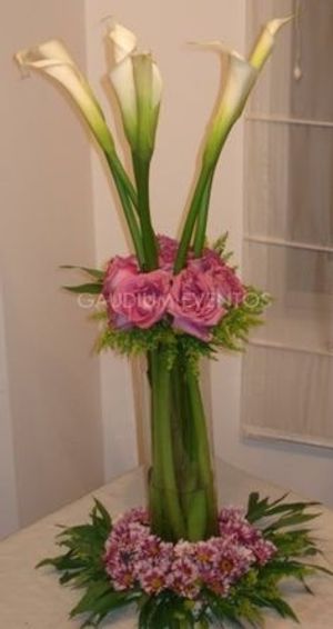 Image chosen by user