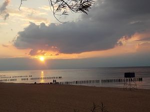Obrazek wybrany przez użytkownika